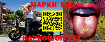 Альфа ПВП Будённовск