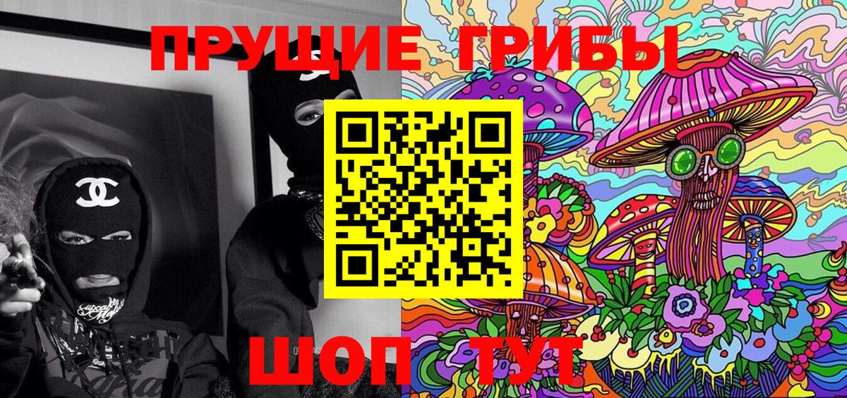 Псилоцибиновые грибы Psilocybine cubensis Курган