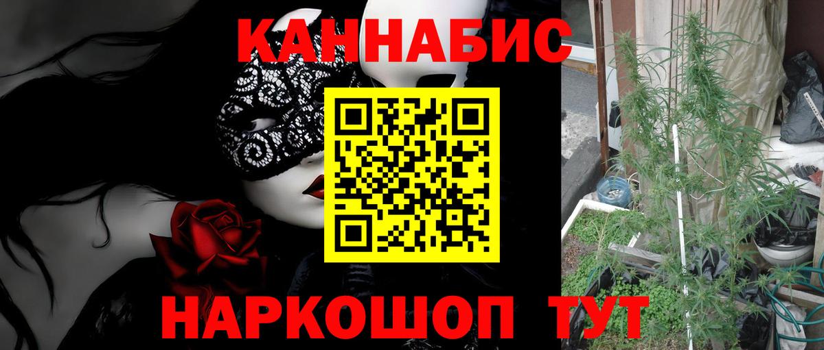 МАРИХУАНА конопля Курган